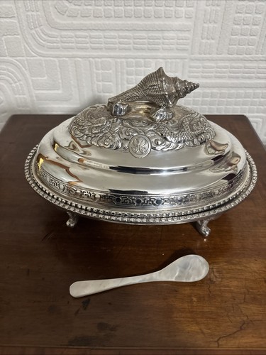Schöne angloindische