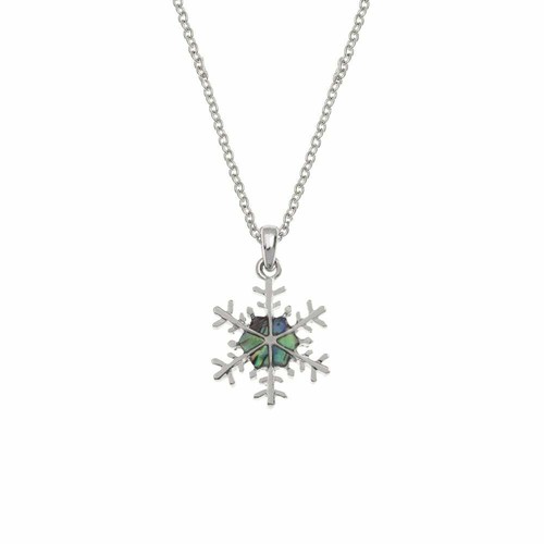 Schneeflocke paua muschel - schneeflocke,