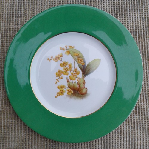 Spode turtle shell - 10,5",