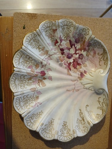 Macintyre muschelschale - macintyre, /