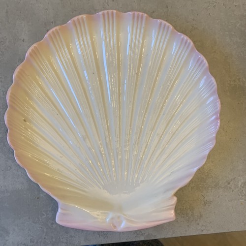 Antike belleek tridacna - 8,25",