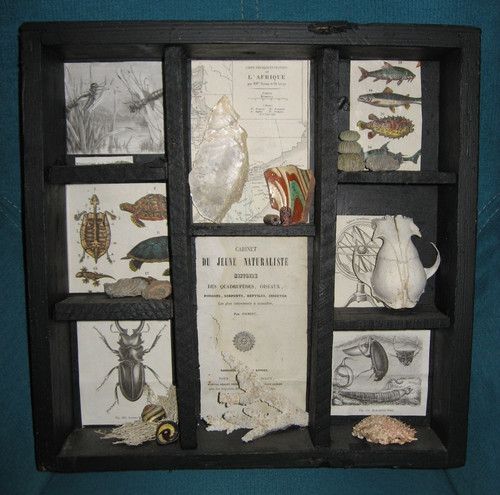 Miniatur kuriositätenkabinett - miniatur,