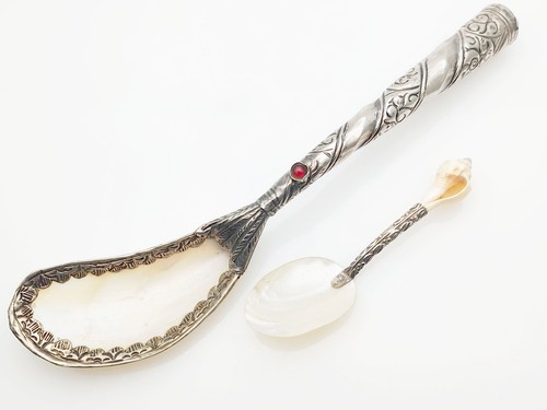 Ausgefallene muschelschale - muschelschale, &