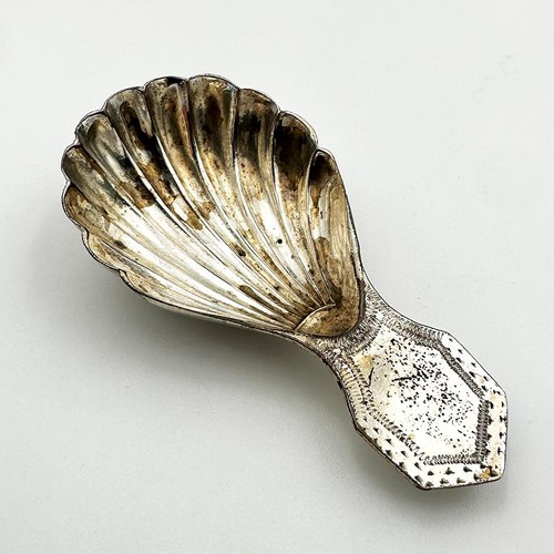 Georgian shell caddy - caddy, spoon